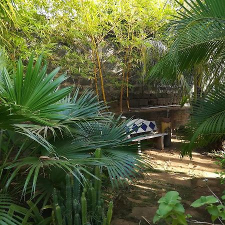 Отель Harvest House Nicaragua Леон Экстерьер фото