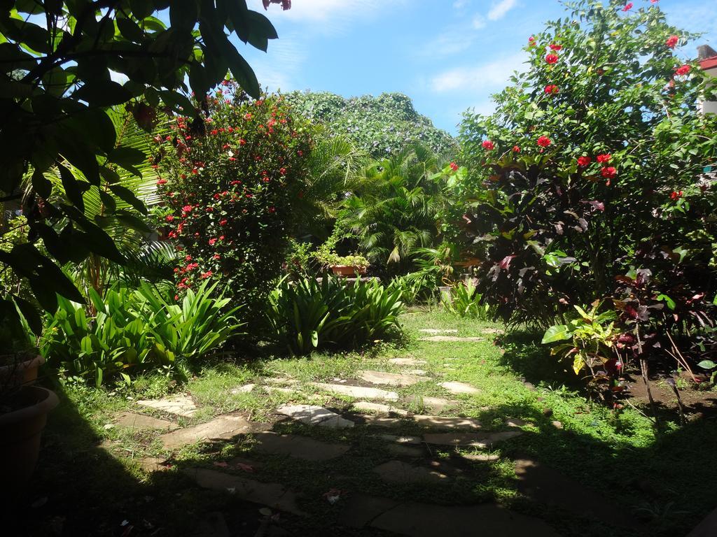 Отель Harvest House Nicaragua Леон Экстерьер фото