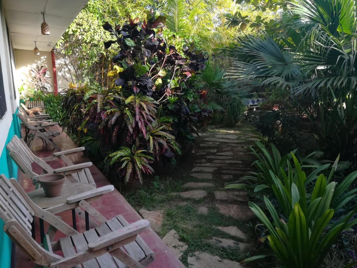 Отель Harvest House Nicaragua Леон Экстерьер фото